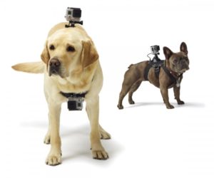 gopro-dog-harness-стойка-за-куче-маунт-mount-екшън-камера-спортна-видео-11
