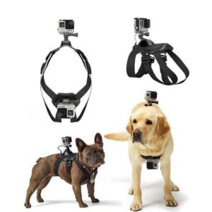 gopro-dog-harness-стойка-за-куче-маунт-mount-екшън-камера-спортна-видео-3